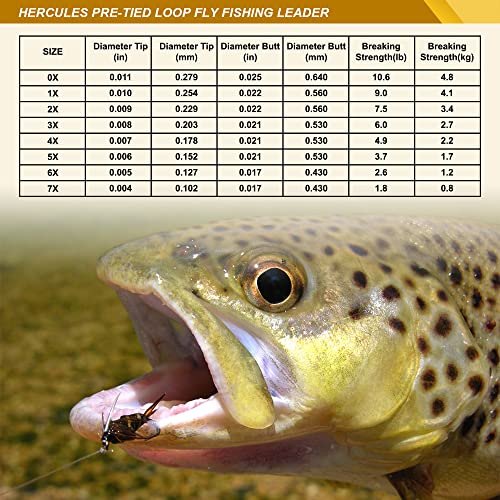 Pre-Tied Loop Fly Fishing Leader 6 Pack - 9FT 5X 3.7LB