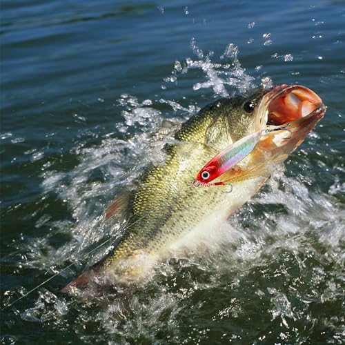 Saltwater Fishing Spoons with Ultra-Sharp Hooks - 5 Pack