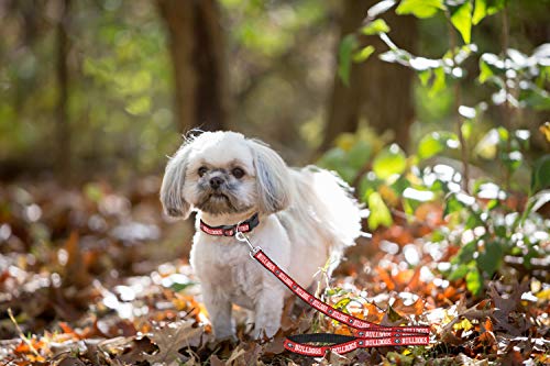 NCAA Dog Leash - Large Georgia Bulldogs Heavy-Duty Nylon