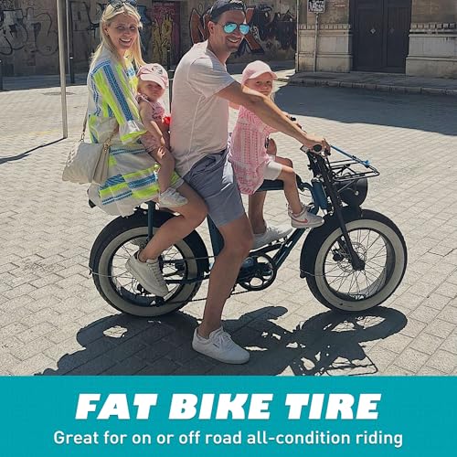 BALINGE 20 x 4 Inch Fat Tire for Electric Bikes Snow Tricycles All-Terrain Heavy Duty