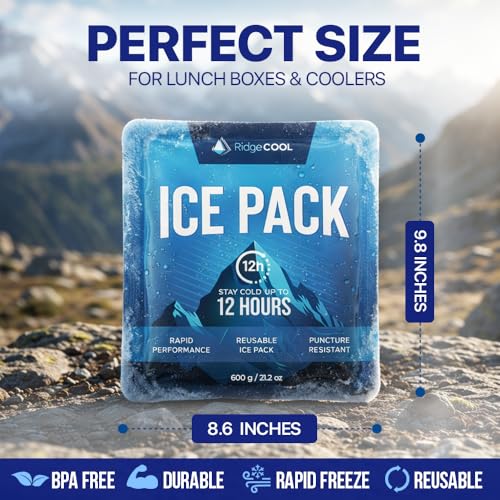 RIDGECOOL 4-Pack Large Reusable Ice Packs, 600g Each | 9.8 x 8.6 in, Leakproof & BPA-Free for Coolers
