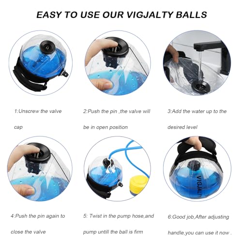 VIGJALTY Aqua Water Weights Bag for Arm & Shoulder Rehab - Clear, 12 lbs