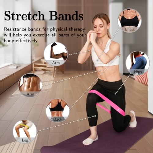 Resistance Bands Set for Exercise - 5 Levels, Pink Workout Bands