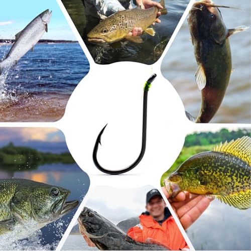 Octopus Fishing Hooks Set - Barbed Beak Saltwater, 250pcs #10~#2