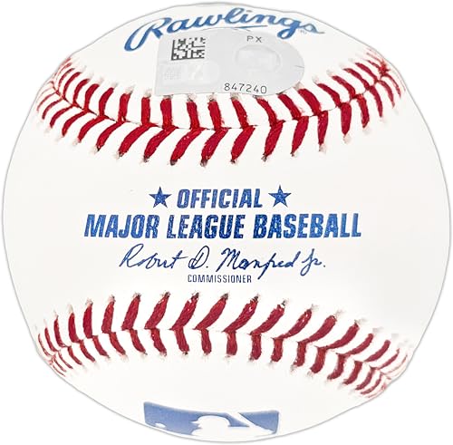 Cal Raleigh Autographed Official Baseball - Mariners Memorabilia