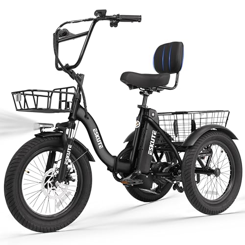 Electric Trike Bike with 1200W Motor & 624Wh Battery - Black