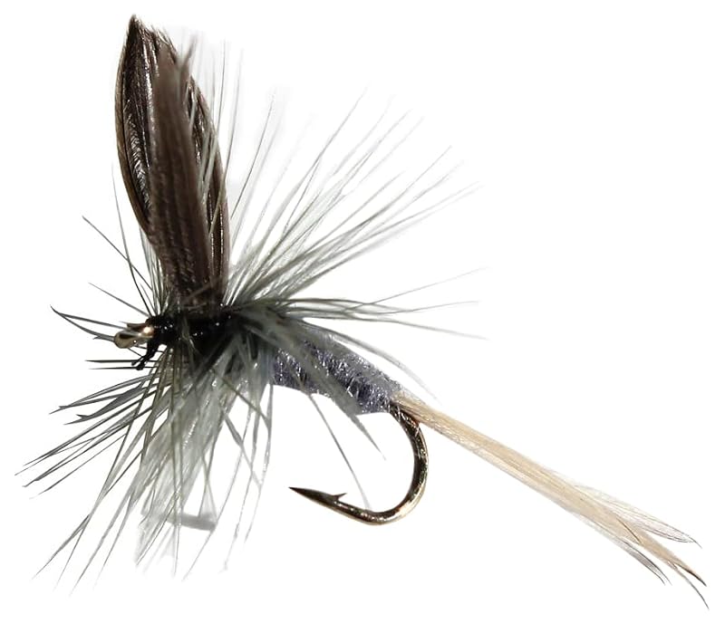 Blue Dun Trout Fishing Flies Assortment - 12 Pack
