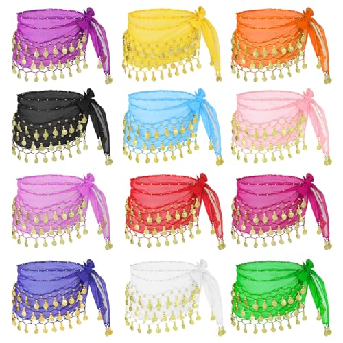 AHQiZFX 12 Pcs Belly Dance Sequin Tassel Skirt Set with Coin Embellishments
