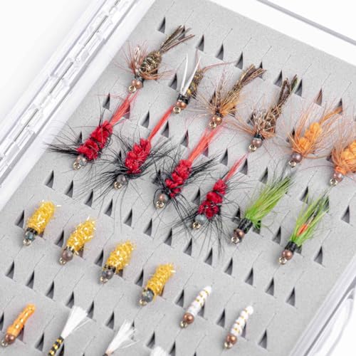Slim Fly Fishing Box with Clear Lid - Large Size, 1 Pack