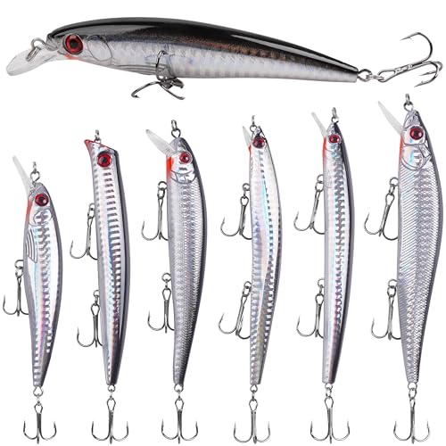Silanon Saltwater Fishing Lures Kit – 6 Minnow/Plugs/Popper/Jerkbait