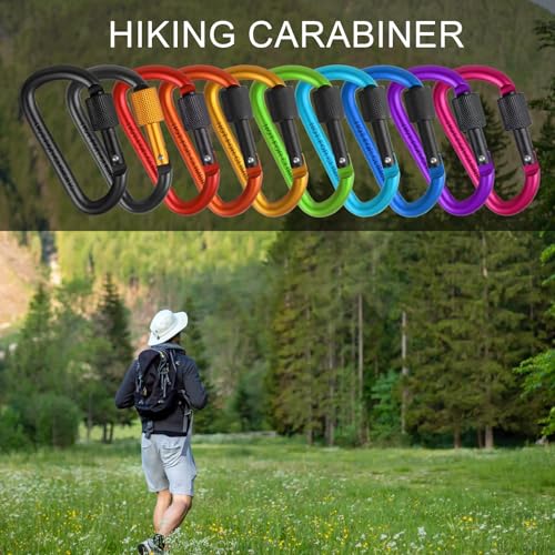 3-Inch Aluminum D-Ring Key Rings - 10 Pack Multicolored Carabiners