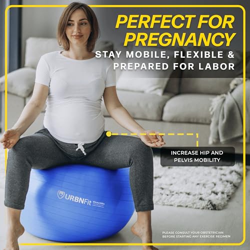 Exercise Ball - 65cm Anti-Burst Yoga Ball for Workout & Pregnancy - Black