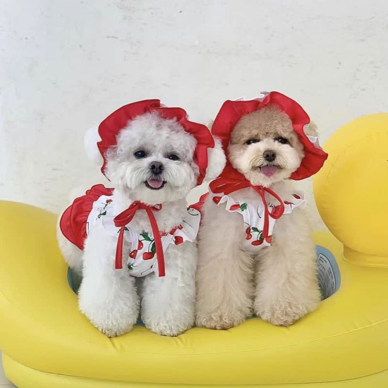 IMDOUBLEDOU Cherry XX-Large Dog Swimsuit & Sun Cap Set - Puppy Beach Outfit for Swimming & Bathing