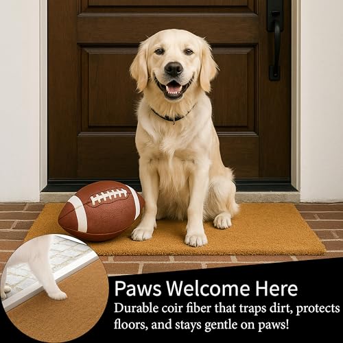 University of Georgia Bulldog Coir Doormat - 28 x 16 Inches