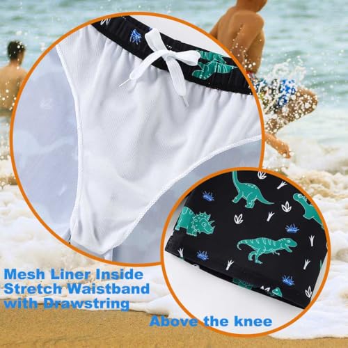 Boys Swim Trunks Quick Dry Board Shorts - Black Dinosaur, 3-4T