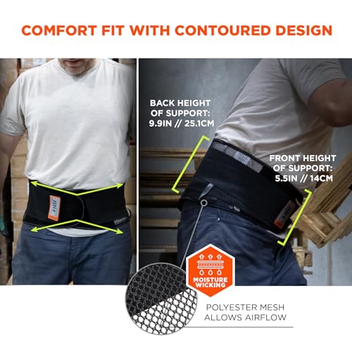 Ergodyne ProFlex 1051 Mesh Back Support Medium Black - Lumbar Brace for Injury Prevention