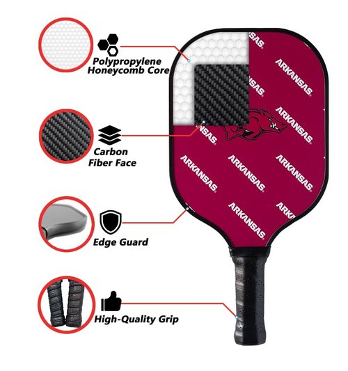 Parrot Paddles NCAA Clemson Sport Pickleball Paddle
