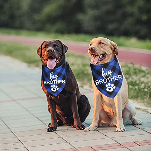Big Brother Dog Bandana - Blue Plaid Pregnancy Announcement