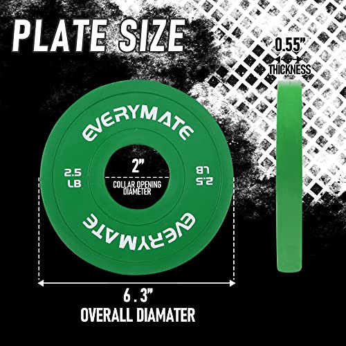 EVERYMATE 2.5 LB x2 Change Weight Plates - Olympic Bumper Steel Coated