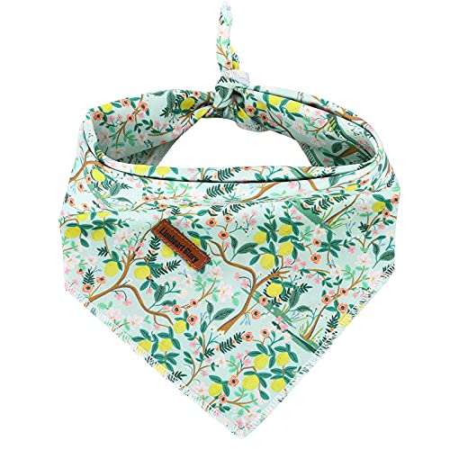 Washable Cotton Dog Bandana - Large - Lemon Blossom