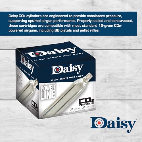 12-Gram CO2 Cylinders - 25 Count for Airguns - Consistent Pressure