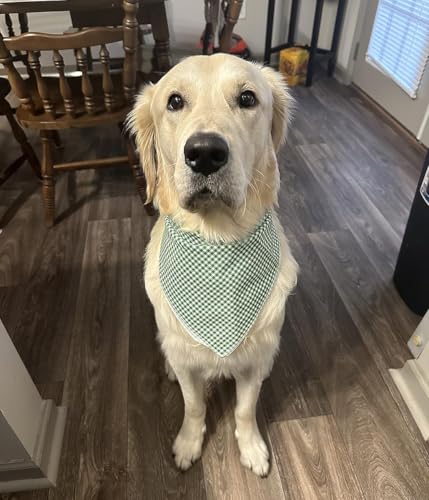 Dog Bandana for Small Dogs - Green & White Grid Triangle Scarf