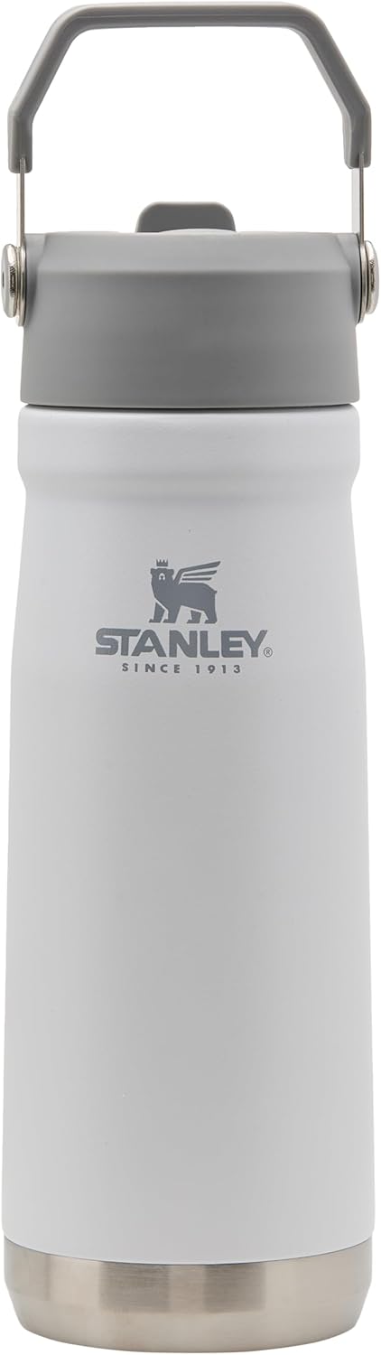 STANLEY IceFlow 22 oz Water Bottle - Insulated Stainless Steel with Built-In Straw | Lightweight & Leak Resistant | BPA-Free | Polar