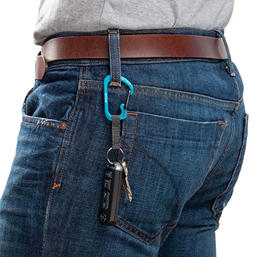 Locking Carabiner Key Chain with Webbing - Blue