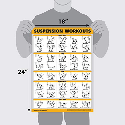 Palace Learning 4 Pack Suspension Workout Posters Volume 1–3 + Bodyweight Chart (Laminated, 18x24)
