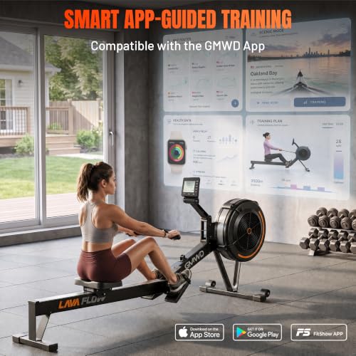 Air Rowing Machine with 10 Adjustable Resistance Levels & Monitor