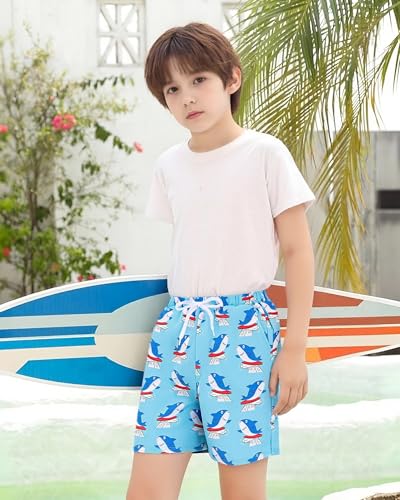 Boys Swim Trunks with Compression Liner - Shark, 11-12 Years