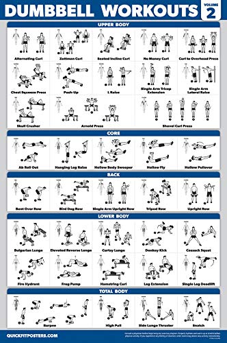 Dumbbell Workout Posters - 3 Pack Laminated Exercise Charts (18" x 24")