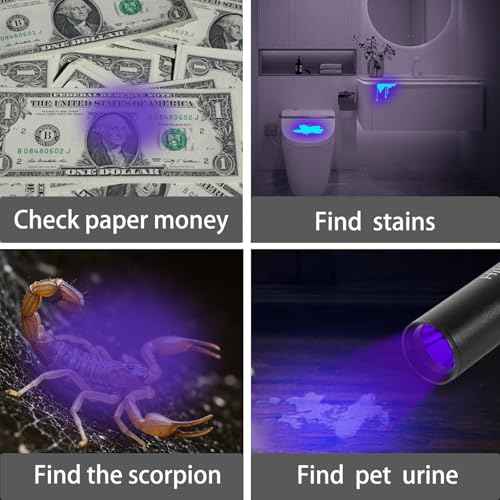 10 Pack Rechargeable Black Flashlight Small UV Black Flash Light 395 NM, Mini USB C LED Blacklight Flashlights Handheld Torch for Pet Dog Urine Resin Curing Fluorescent Agent Stains Detection