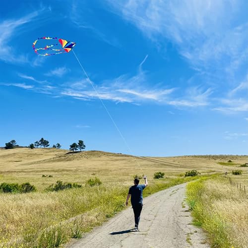 Large Rainbow Delta Kite for Kids & Adults - Easy to Fly