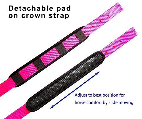 Adjustable Horse Halter - Heavy Duty Nylon with Padded Neoprene - Black, Full (L)