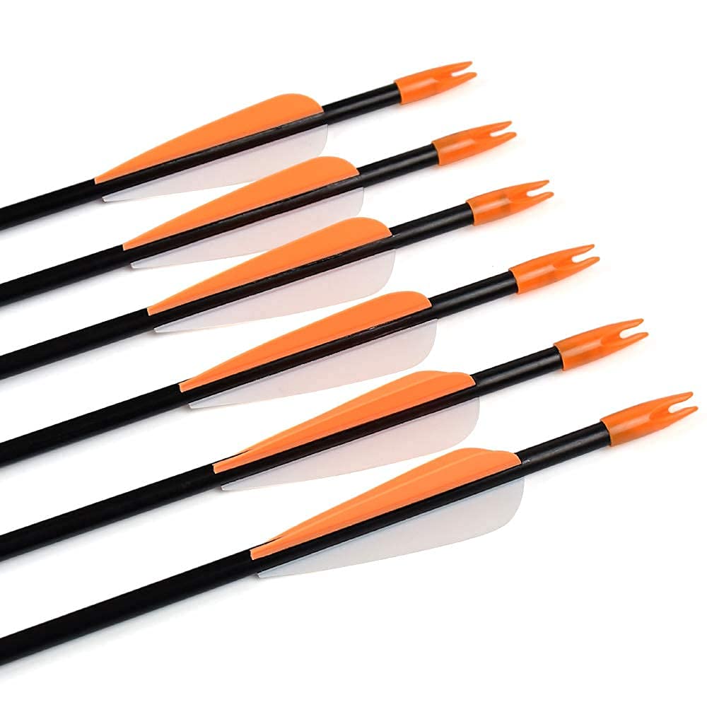 Fiberglass Practice Arrows Archery 28 Inch Target Shooting Safetyglass Recurve Bows Suitable for Youth Woman Beginner 12PCS