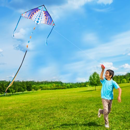 Honbo Large Delta Kite for Kids & Adults - Dots Pattern, Easy to Fly Beach Kite, Colorful Tail, Beginner Friendly, 53.5x30.3in