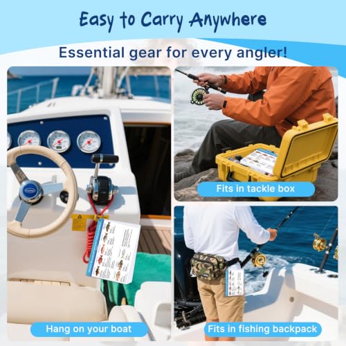 Florida Saltwater Fish & Shark Identification Set - Waterproof Guide Cards