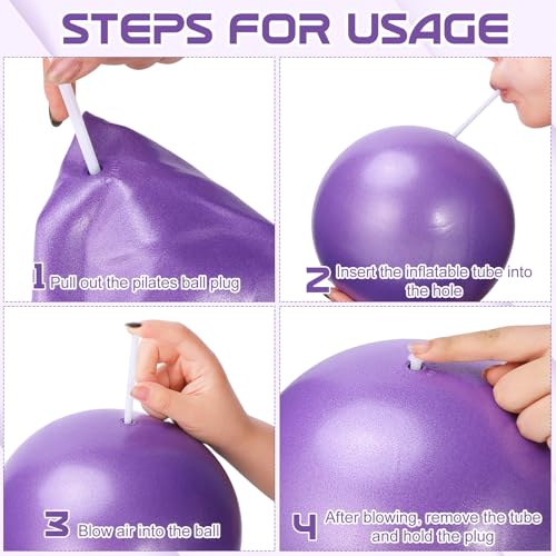 9.8-Inch Mini Pilates Ball - Non-Slip Soft Exercise Yoga Ball - Purple