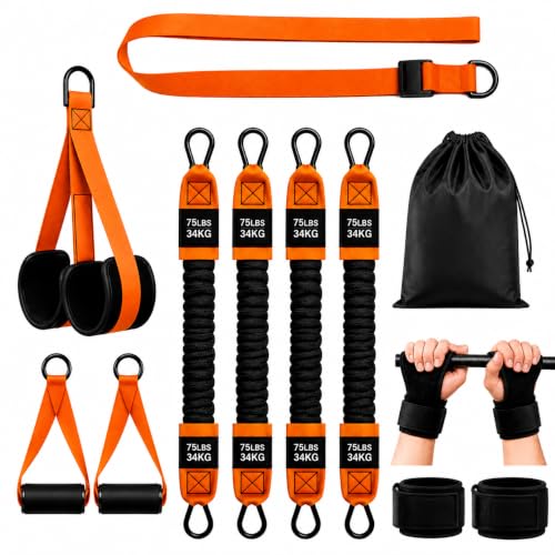Pull Up Assistance Bands Set with Padded Straps & Handles