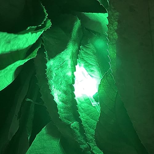 Lighted Arrow Nocks with On/Off Switch for .204/.233/.244/.246" Arrows