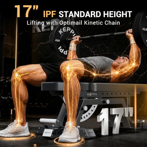Commercial-Grade FID Weight Bench - 2200lb Capacity, 11+8 Angles, Gross Black