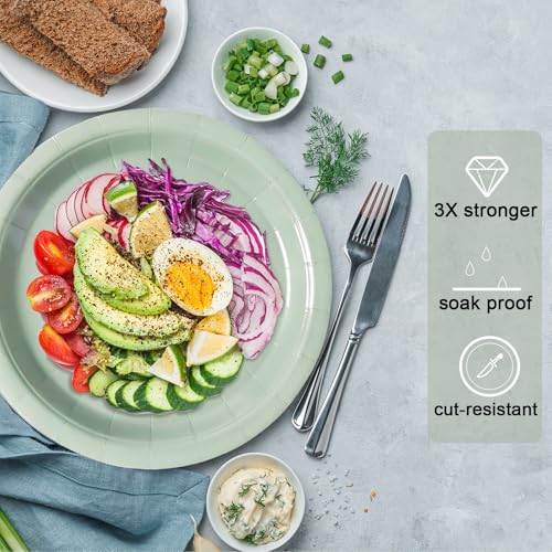 Tyzarglef Sage Green Disposable Paper Plates 9 Inch - Pack of 50