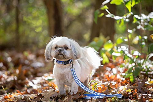 Medium NCAA Dog Leash - Duke Blue Devils, Durable Nylon