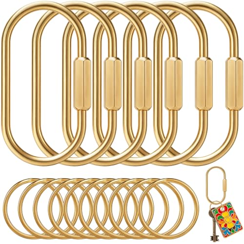 6 Pcs Brass Key Rings Bulk – Gold Carabiner with Secure Screw Lock,