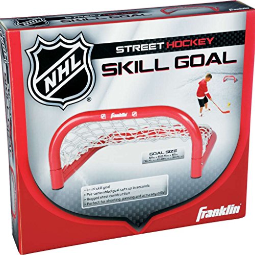 Mini Hockey Skills Goal - Heavy-Duty Steel Net for Shooting Practice