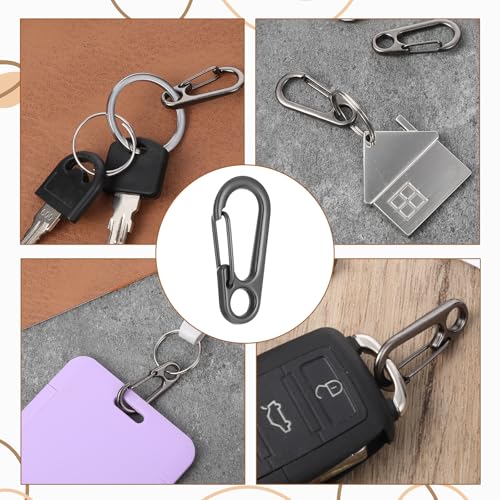 30 PCS Mini Carabiner Clip, Metal Spring Snap Hook Keychains Small