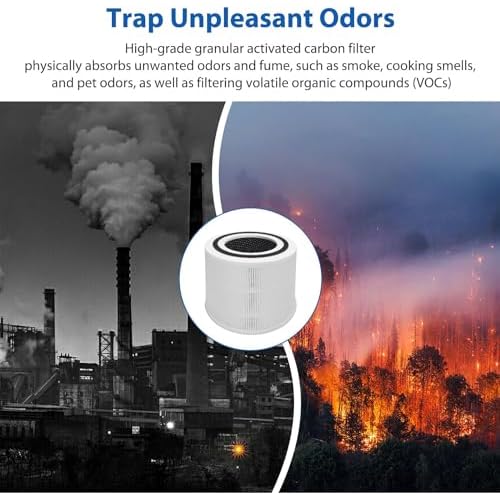 2 Pack 300 Replacement Filter Compatible with 300, 300-RF, 300S, 3-in-1 H13 Grade 300 Filter, Part # 300-RF (2 Pack)