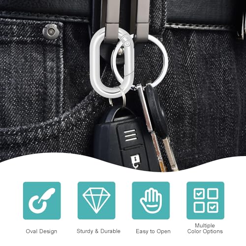 1-Inch Silver Oval Carabiner Clips - 10 Pack for Keychains & Pets