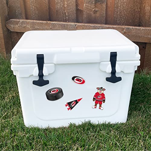 Desert Cactus Carolina Hurricanes Team NHL National Hockey League Sticker Vinyl Decal Laptop Water Bottle Car Scrapbook (Type 2)